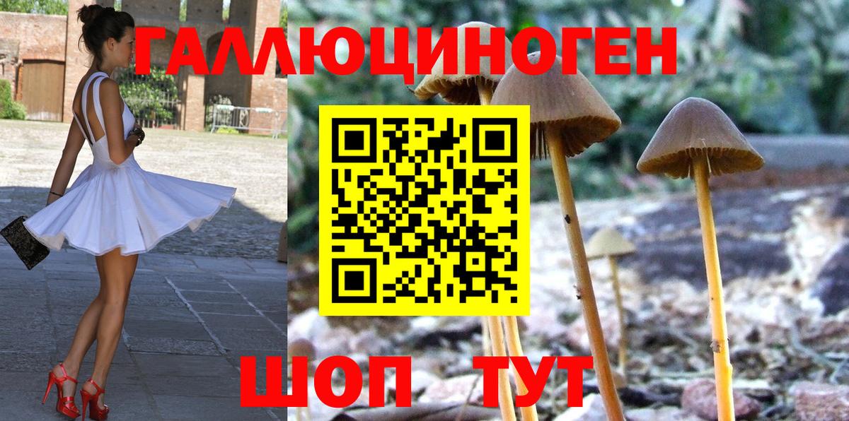 Дивногорск  Галлюциногенные грибы Magic Shrooms  Вход с VPN 