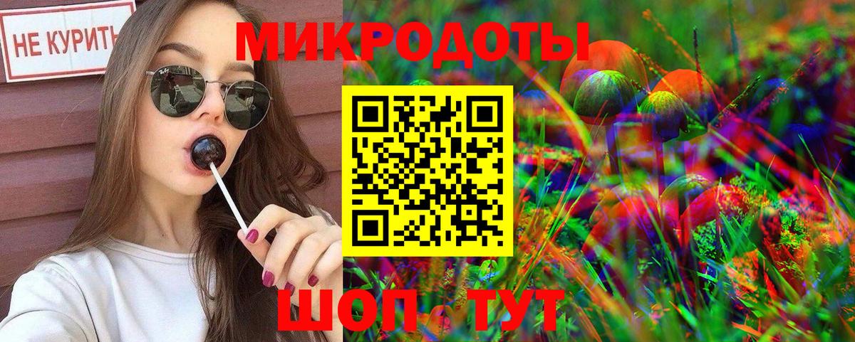 Псилоцибиновые грибы GOLDEN TEACHER Дивногорск