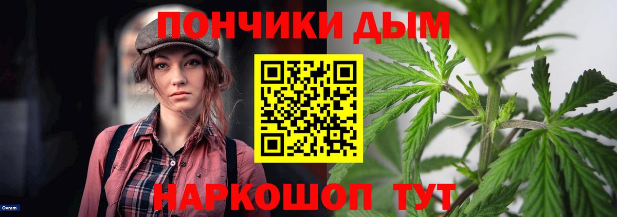 Канабис конопля Дивногорск